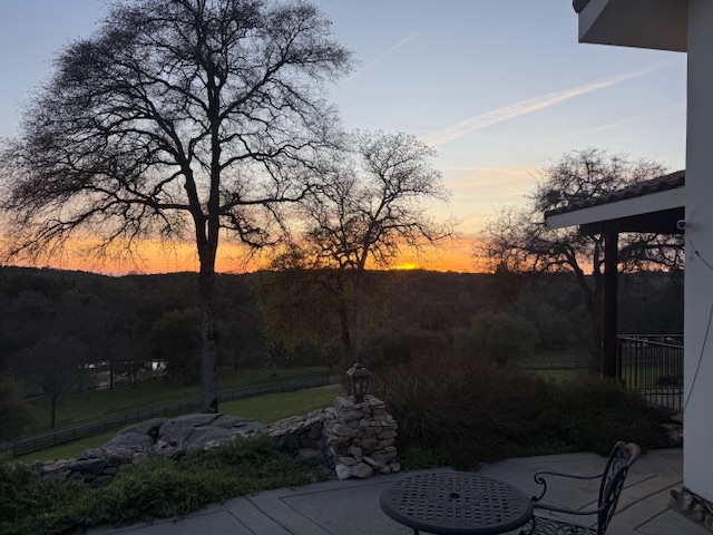 Lamb at Vaquera Ranch