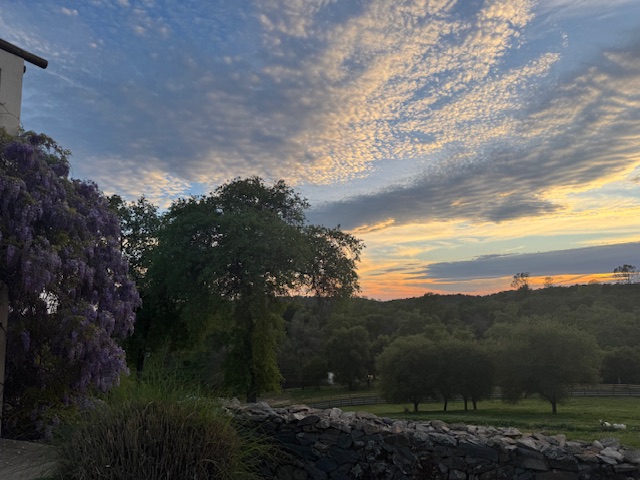 Pond at Vaquera Ranch